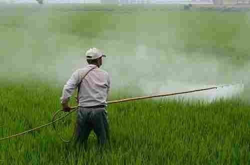 Chemical Free Agriculture Pesticides