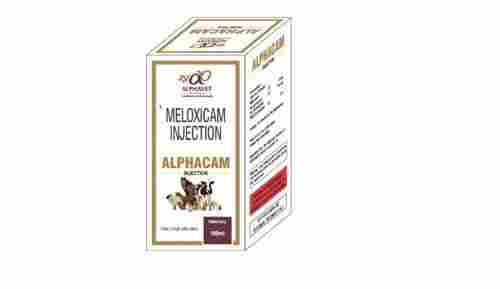 Meloxicam Injection (Veterinary)