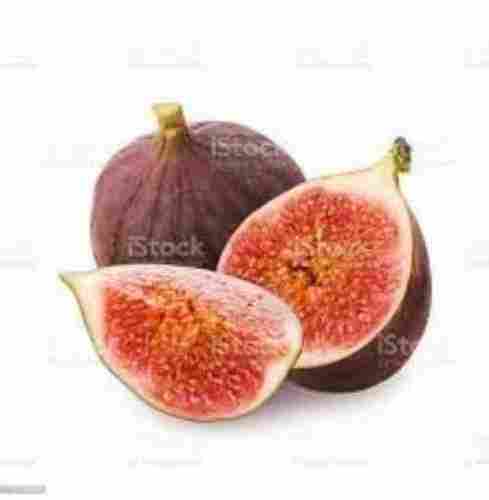 Organic Fresh Fig Fruit