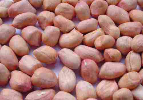 High Organic Peanut Seeds