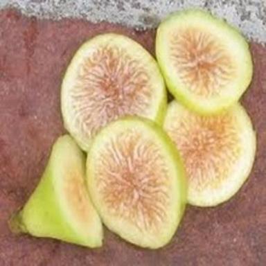 Pale Green Healthy And Natural Fresh Fig