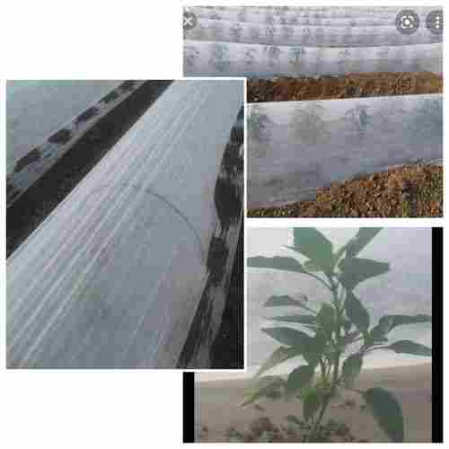 Non Woven Chili Crop Protection Cover