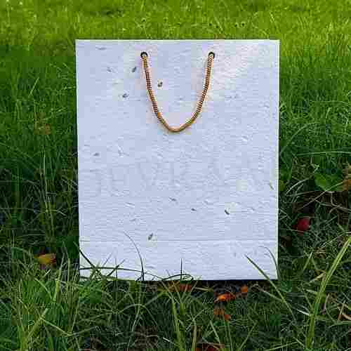 Seed Carry Paper Bags