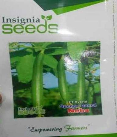 Natural Sponge Gourd Vegetable Seed
