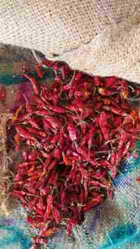 Whole Dried Dark Red Teja Chilli With Stem