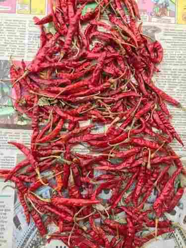 Whole Teja S17 Dried Red Chilli With Stem