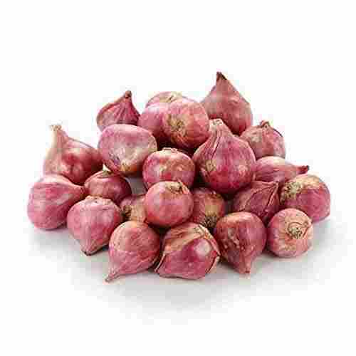 Healthy and Natural Fresh Sambar Onion