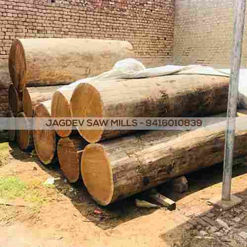 IPE Hardwood Log