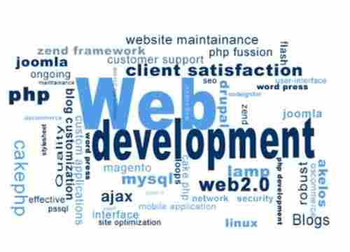 Custom Programmed Website Development Service