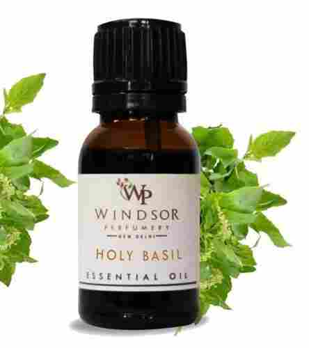 Steam Distilled Holy Basil Essential Oil