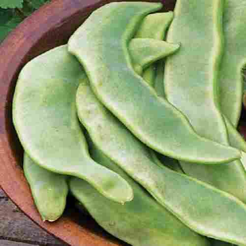 Healthy and Natural Organic Fresh Flat Beans