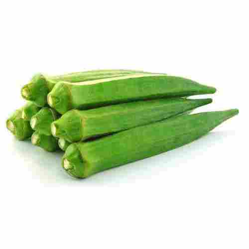 Healthy and Natural Organic Green Fresh Okra