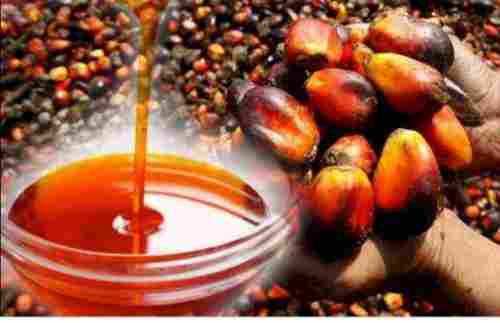 Palm Oil for Cooking