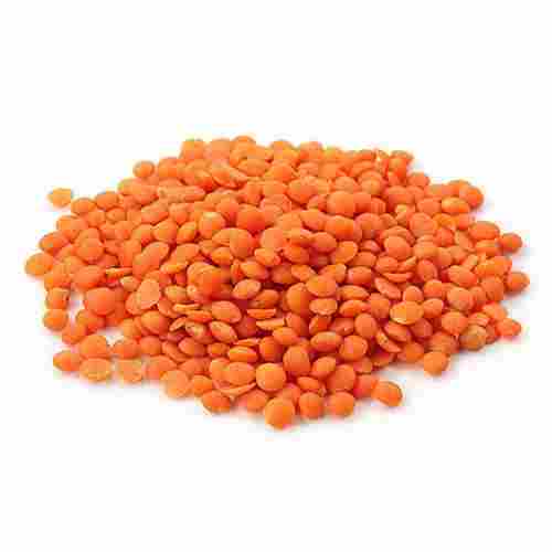 Healthy and Natural Organic Red Lentils