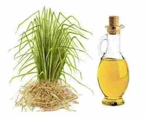 Organic Vetiver Grass Essential Oil