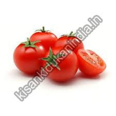 Round Hygienically Fresh Tomato