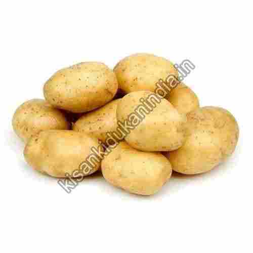 Organic Fresh Potato
