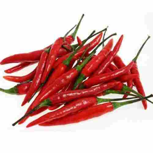 Healthy and Natural Organic Fresh Red Chilli