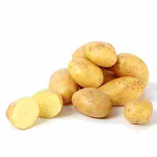 Healthy and Natural Organic Fresh Baby Potato