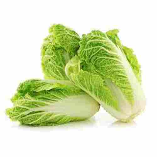 Healthy and Natural Organic Fresh Chinese Cabbage