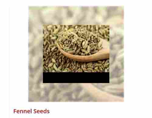 Organic Green Fennel Seeds