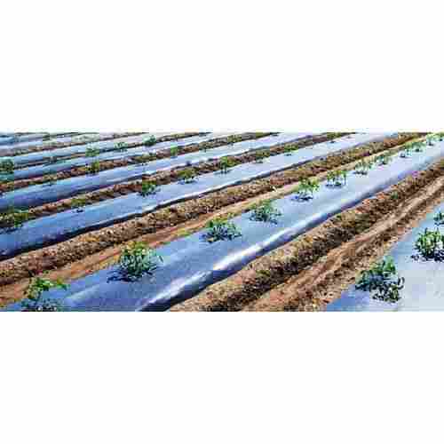 Agriculture Use Mulching Sheets