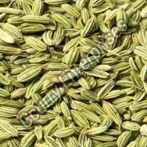 Natural Fennel Seeds for Cooking