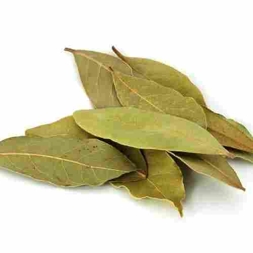 Healthy and Natural Dried Bay Leaf