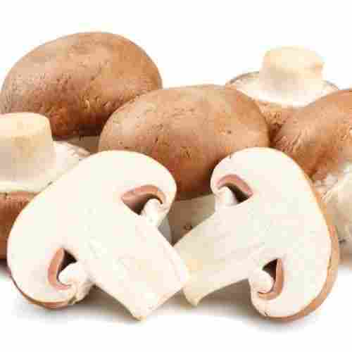 Healthy and Natural Organic Fresh Mushroom