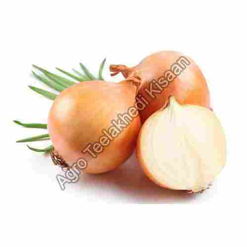 Natural Yellow Onion for Cooking