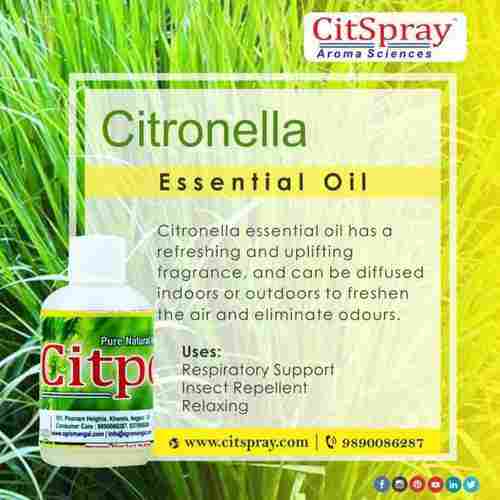 Antibacterial Antifungal Citronella Essential Oil