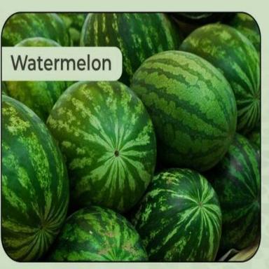 Green Healthy And Natural Fresh Watermelon