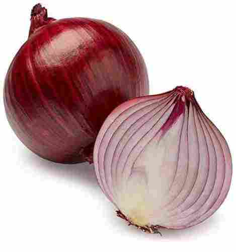 All Size Red Onion in Gunny Bag