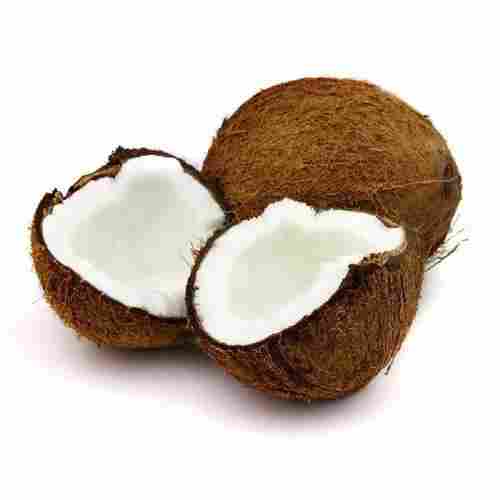 Healthy and Natural Fresh Brown Semi Husked Coconuts