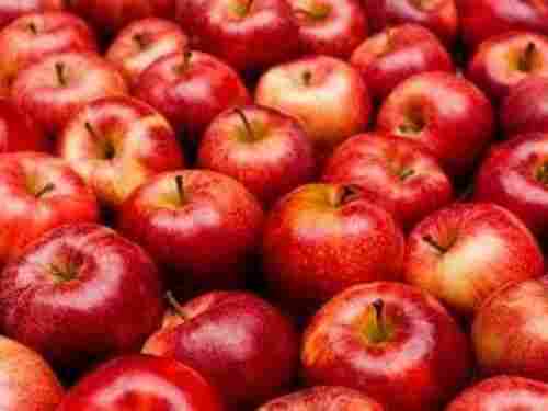 Natural Fresh Apple Fruits