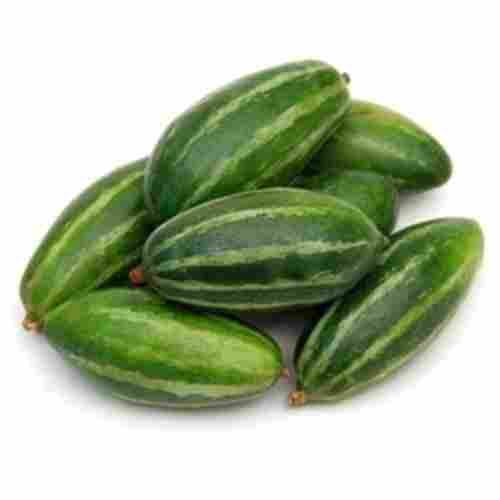 Healthy and Natural Fresh Pointed Gourd