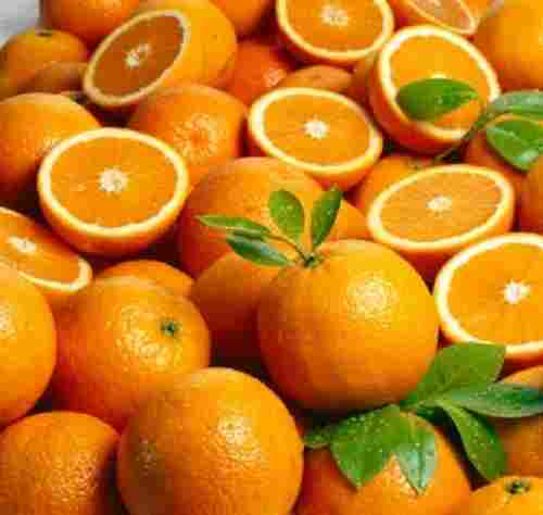 Organic Fresh Orange Fruit