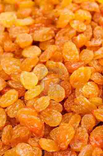 Organic Golden Dried Raisins