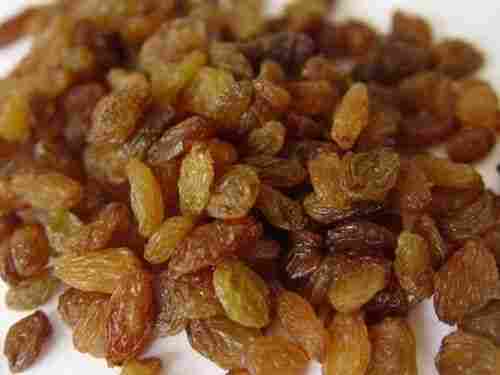 Organic Natural Dried Raisin