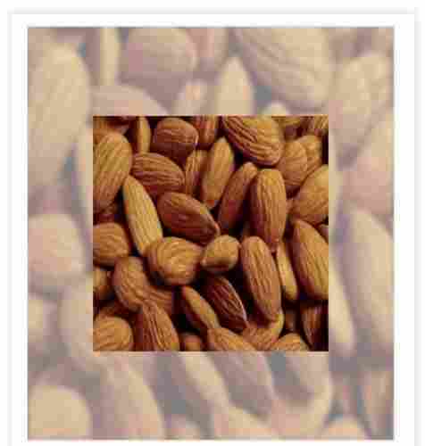 High Protein Almond Kernel