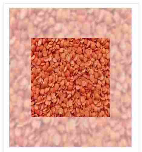 High Protein Red Lentils