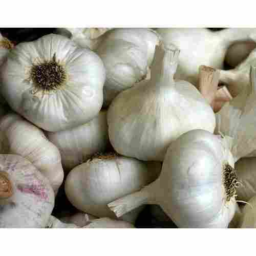 High Medicinal Value Fresh Garlic