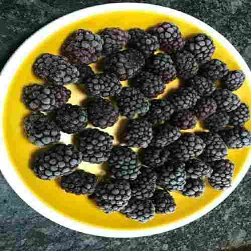Healthy Frozen Black Berry