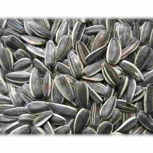 Black Agricultural Dried Sunflower Seeds