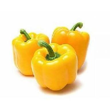 Fresh Yellow Capsicum For Cooking Preserving Compound: Cool & Dry Places