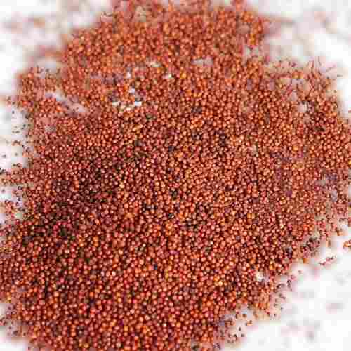 Indian Whole Tasty Red Grain Nachni (Ragi)