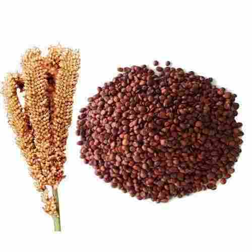 Natural Brown Finger Millet Seeds