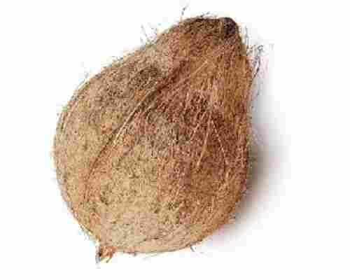 प्राकृतिक अर्ध भूसा हुआ नारियल