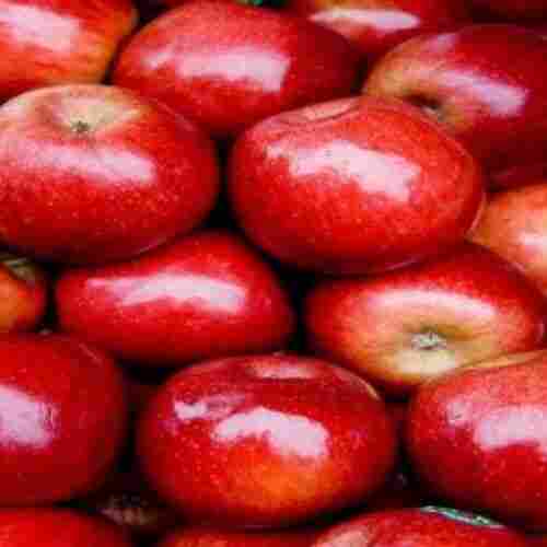 Natural Fresh Red Apple