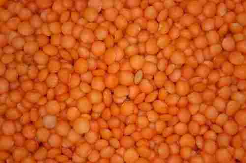 Healthy and Natural Whole Red Lentils